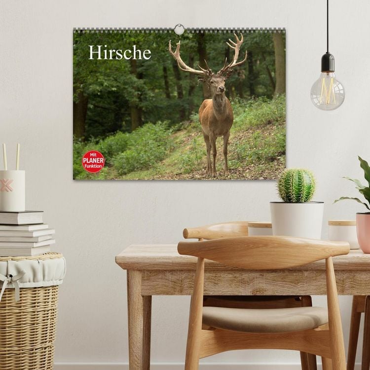 Produktbild: Hirsche (Wandkalender 2026 DIN A3 quer), CALVENDO Monatskalender