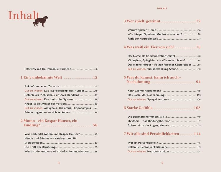 Produktbild: Eine zweite Chance für Momo