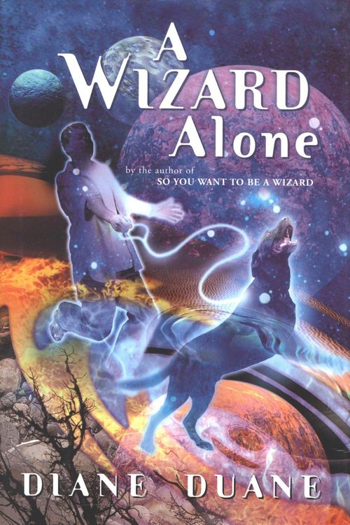 Produktbild: Wizard Alone