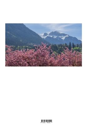 Produktbild: Wissenschaftliche und Wirtschaftliche Fragen an die Behinderten Werkst&auml;tten bei der AWO