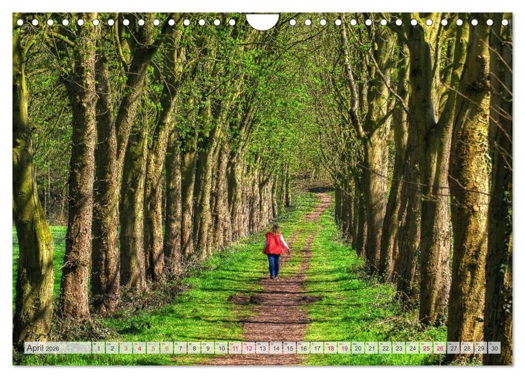 Produktbild: Idyllische Wanderwege im Bergischen Land (Wandkalender 2026 DIN A4 quer), CALVENDO Monatskalender