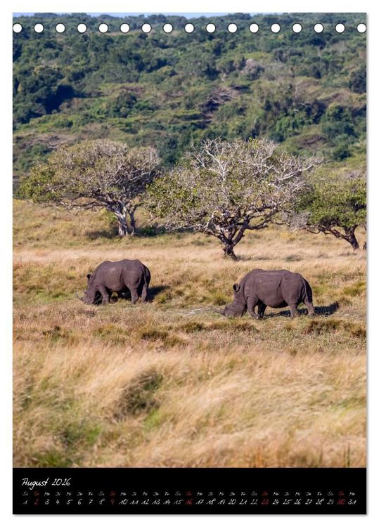 Produktbild: S&uuml;dafrika - Sehenswerte Panorama Route (Tischkalender 2026 DIN A5 hoch), CALVENDO Monatskalender