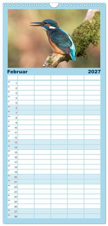 Produktbild: Familienplaner 2027 - Alcedo atthis. Der Eisvogel mit 5 Spalten (Wandkalender, 21 x 45 cm) CALVENDO