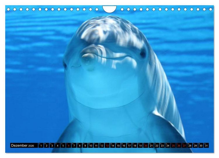 Produktbild: Delfine und Wale (Wandkalender 2026 DIN A4 quer), CALVENDO Monatskalender