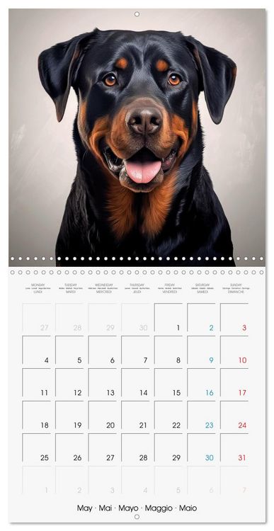 Produktbild: Portraits de grands chiens (Calendrier mural carr&eacute; 2026 30x30 cm) Calendrier double avec une page pour vos prises de notes