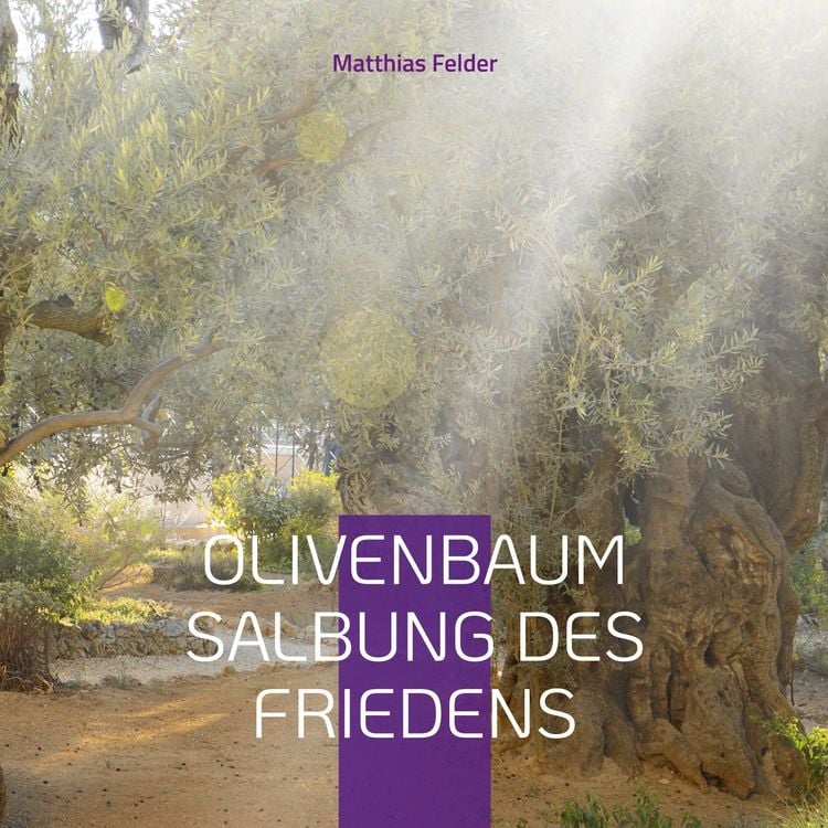 Produktbild: Olivenbaum