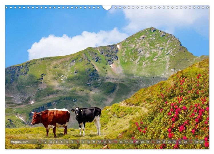 Produktbild: Es gr&uuml;&szlig;t Mittersill (Wandkalender 2027 DIN A3 quer), CALVENDO Monatskalender