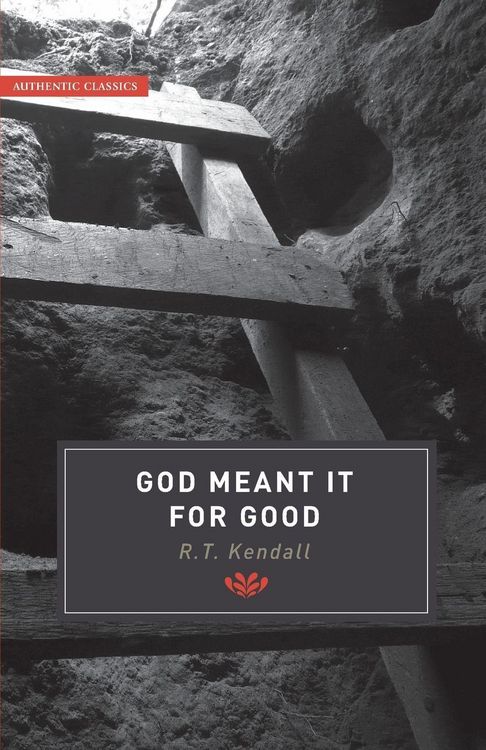 Produktbild: God Meant it for Good