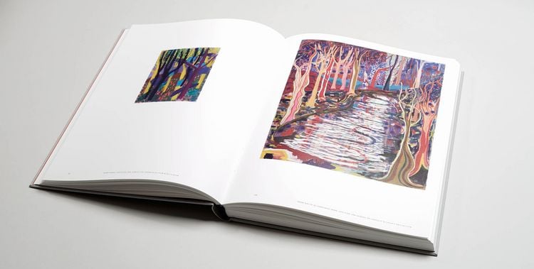 Produktbild: Shara Hughes: Pivot