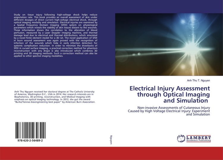 Produktbild: Electrical Injury Assessment through Optical Imaging and Simulation