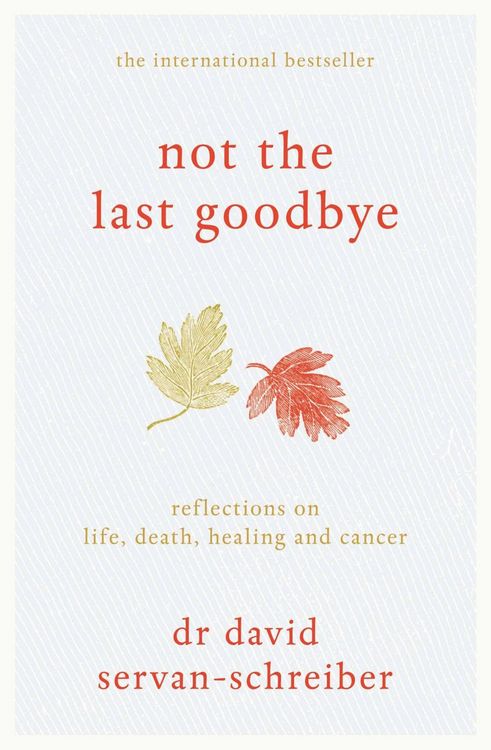 Produktbild: Not the Last Goodbye