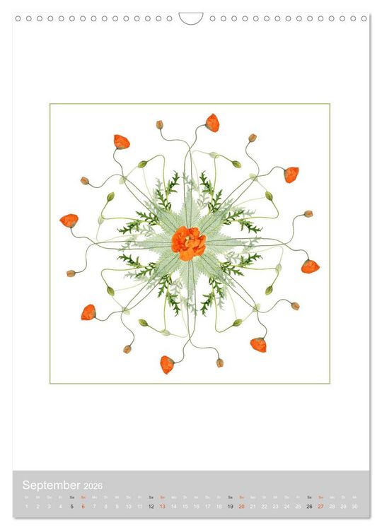 Produktbild: Pflanzen - Mandalas aus Bl&uuml;ten und Bl&auml;ttern (Wandkalender 2026 DIN A3 hoch), CALVENDO Monatskalender