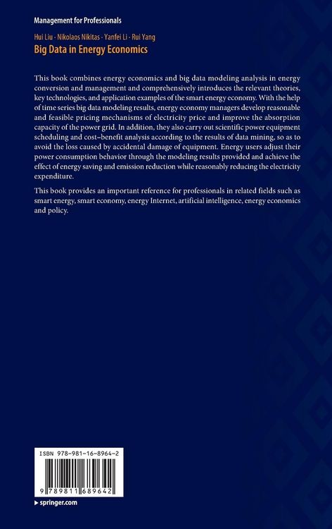 Produktbild: Big Data in Energy Economics