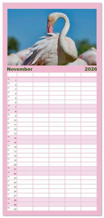 Produktbild: Familienplaner 2026 - The Power Of Pink mit 5 Spalten (Wandkalender, 21 x 45 cm) CALVENDO