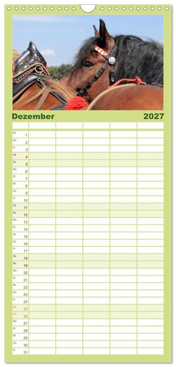 Produktbild: Familienplaner 2027 - Schwere Pferde mit 5 Spalten (Wandkalender, 21 x 45 cm) CALVENDO