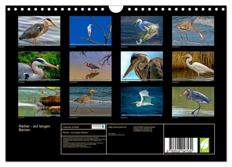 Produktbild: Reiher - auf langen Beinen (Wandkalender 2026 DIN A4 quer), CALVENDO Monatskalender