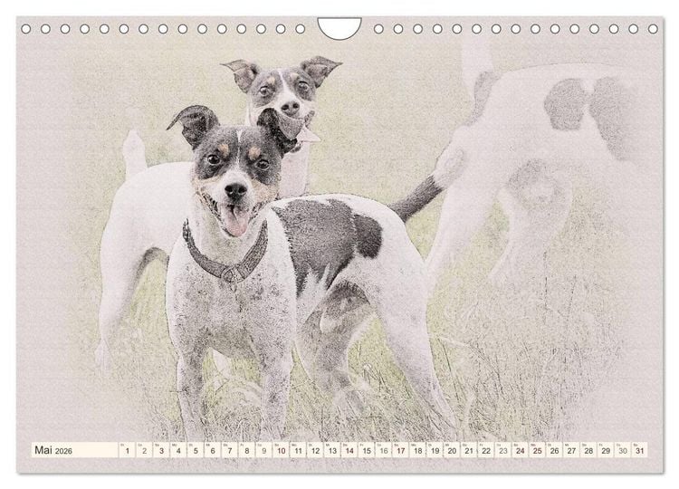 Produktbild: Bodeguero Andaluz 2026 (Wandkalender 2026 DIN A4 quer), CALVENDO Monatskalender