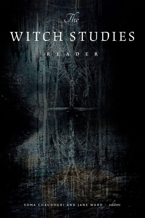 Produktbild: The Witch Studies Reader