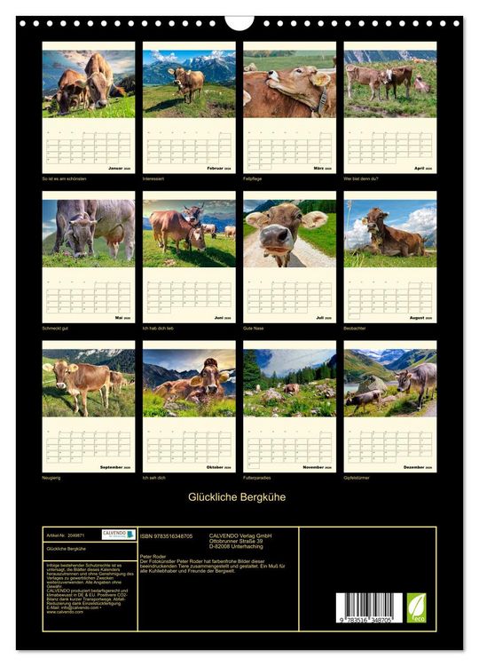 Produktbild: Gl&uuml;ckliche Bergk&uuml;he (Wandkalender 2026 DIN A3 hoch), CALVENDO Monatskalender