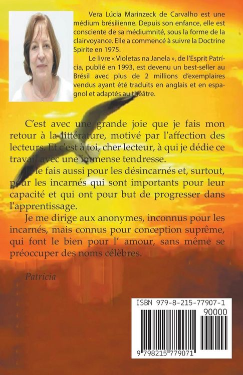 Produktbild: Le Vol De La Mouette