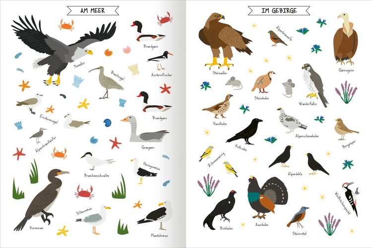 Produktbild: Naturforscher-Kids &ndash; Stickerheft V&ouml;gel