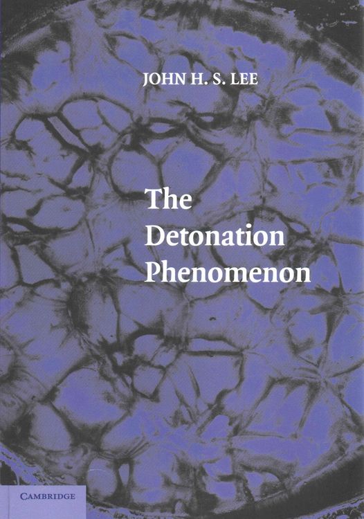 Produktbild: The Detonation Phenomenon
