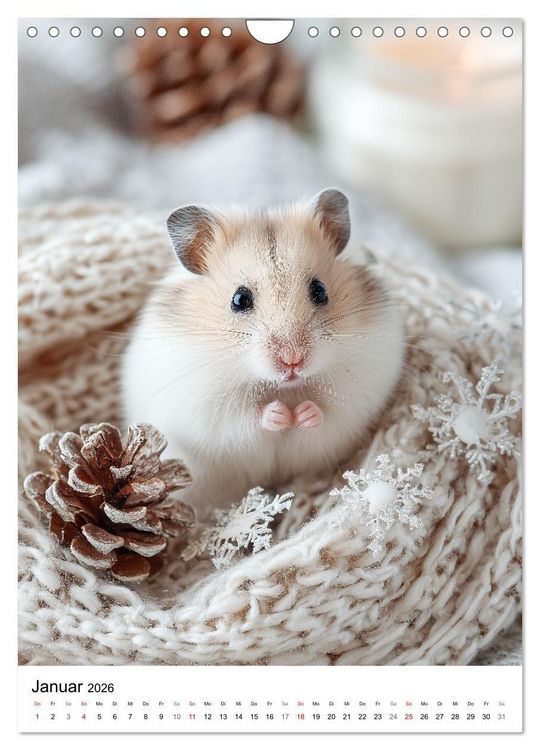 Produktbild: Hamster - s&uuml;&szlig;e Tiere zum Verlieben (Wandkalender 2026 DIN A4 hoch), CALVENDO Monatskalender