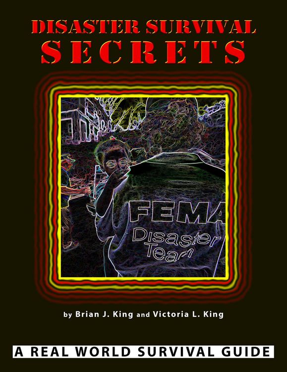 Produktbild: Disaster Survival Secrets