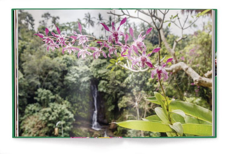 Produktbild: Floramour: Orchideen