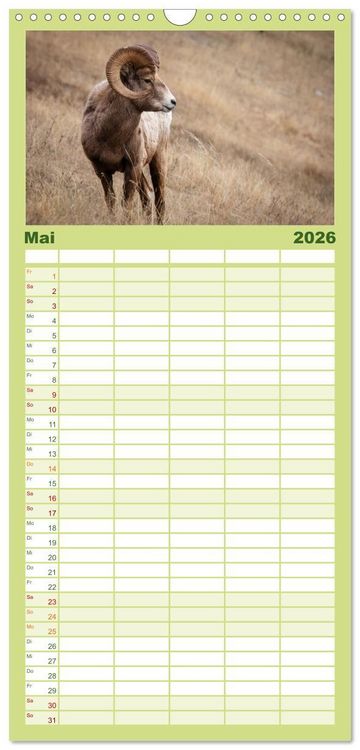 Produktbild: Familienplaner 2026 - Wildtierkalender mit 5 Spalten (Wandkalender, 21 x 45 cm) CALVENDO