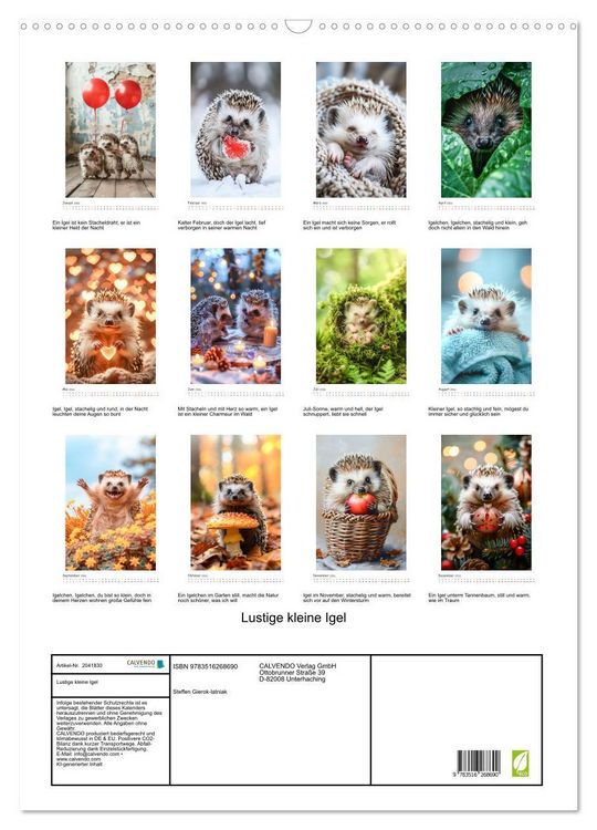 Produktbild: Lustige kleine Igel (Wandkalender 2026 DIN A2 hoch), CALVENDO Monatskalender
