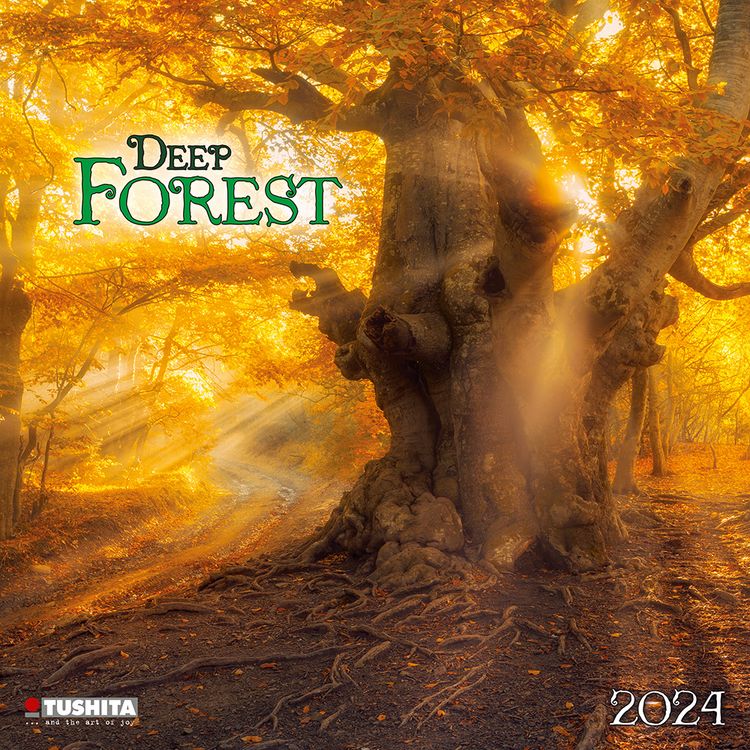 Produktbild: Deep Forest 2024