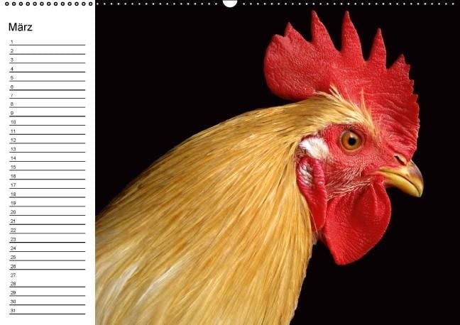 Produktbild: H&uuml;hner / Geburtstagskalender (Wandkalender immerw&auml;hrend DIN A2 quer)