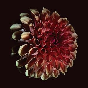 Produktbild: Unfolding