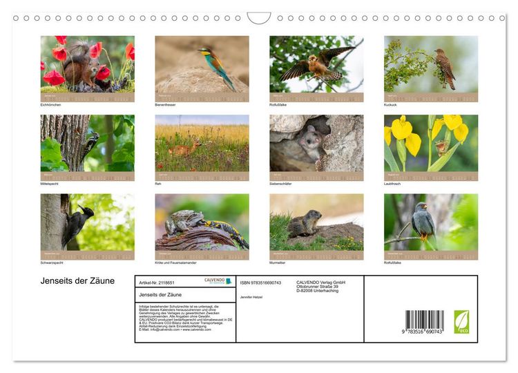 Produktbild: Jenseits der Z&auml;une (Wandkalender 2026 DIN A3 quer), CALVENDO Monatskalender