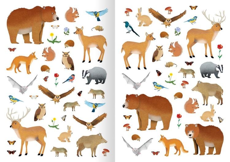 Produktbild: Mein Natur-Stickerbuch