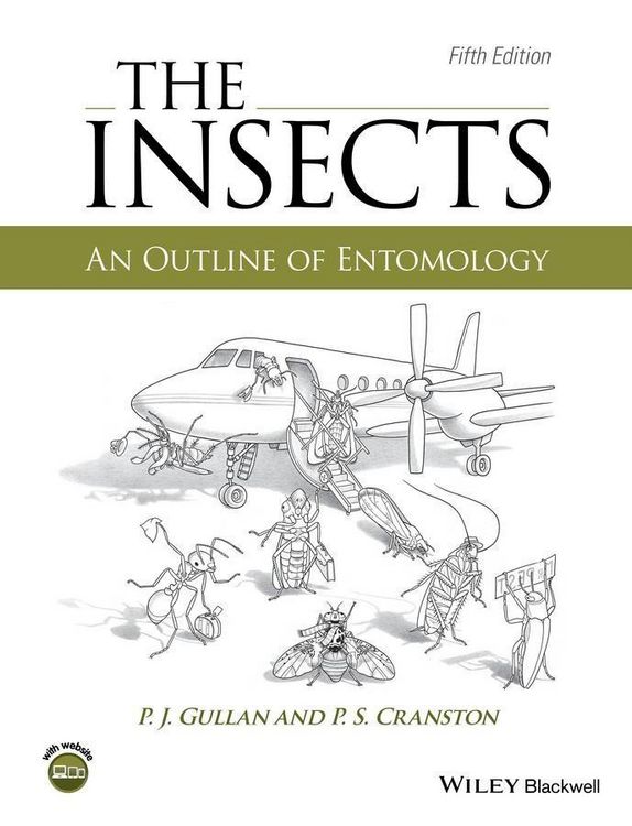 Produktbild: The Insects