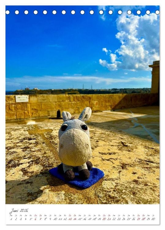 Produktbild: Schorschi auf Reisen ein kleiner Esel unterwegs auf der Insel Malta (Tischkalender 2026 DIN A5 hoch), CALVENDO Monatskalender