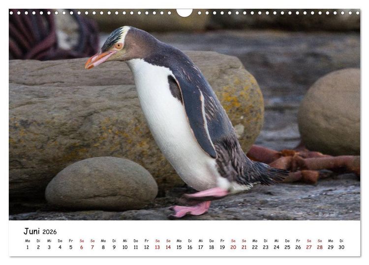 Produktbild: Neuseeland-Aotearoa, Land der wei&szlig;en Wolke (Wandkalender 2026 DIN A3 quer), CALVENDO Monatskalender