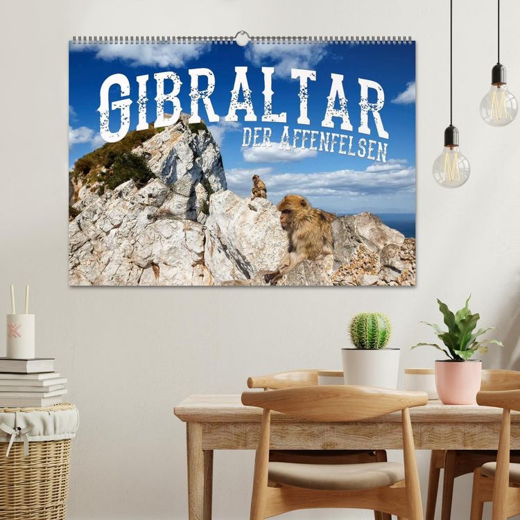 Produktbild: Gibraltar - der Affenfelsen (Wandkalender 2026 DIN A2 quer), CALVENDO Monatskalender