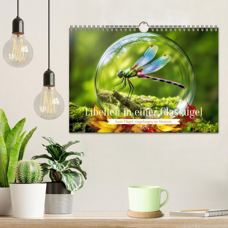 Produktbild: Libellen in einer Glaskugel (Wandkalender 2026 DIN A4 quer), CALVENDO Monatskalender