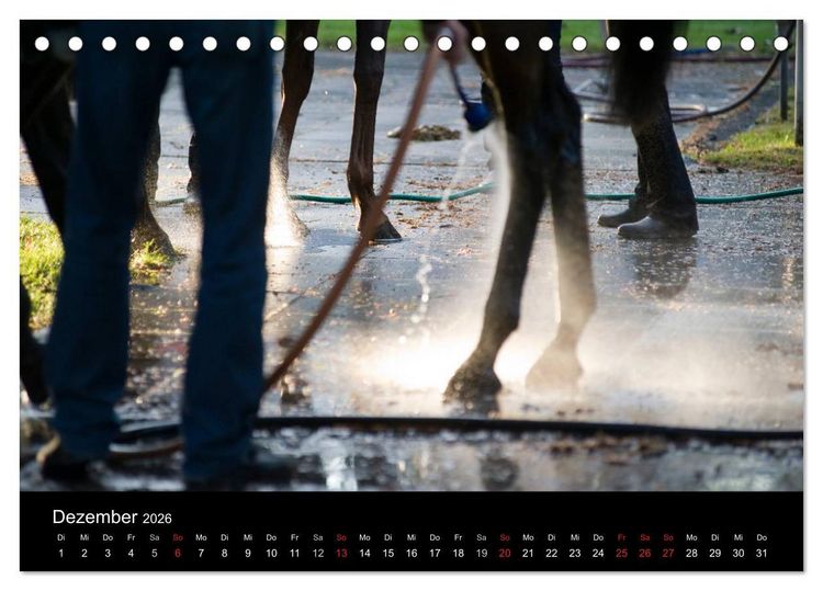 Produktbild: Faszination Galopprennen in Baden-Baden (Tischkalender 2026 DIN A5 quer), CALVENDO Monatskalender