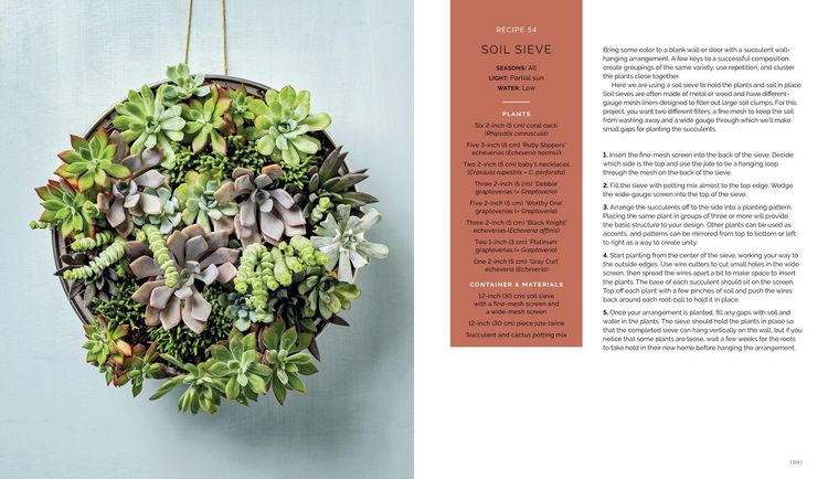 Produktbild: The Container Garden Recipe Book