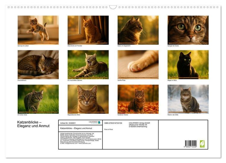 Produktbild: Katzenblicke &ndash; Eleganz und Anmut (Wandkalender 2026 DIN A2 quer), CALVENDO Monatskalender
