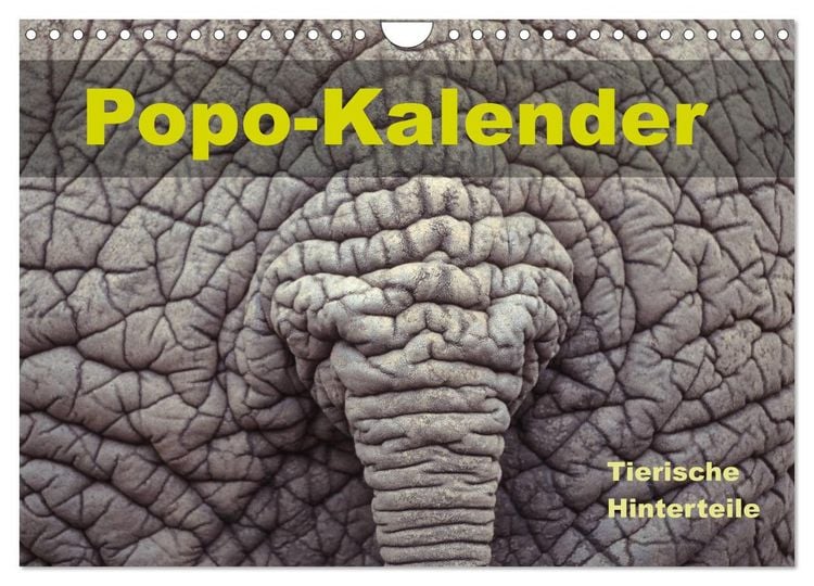 Produktbild: Popo-Kalender (Wandkalender 2026 DIN A4 quer), CALVENDO Monatskalender
