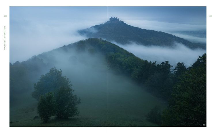 Produktbild: Wild Guide Deutsche W&auml;lder