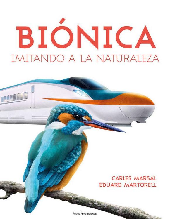Produktbild: Bi&oacute;nica : imitando a la naturaleza