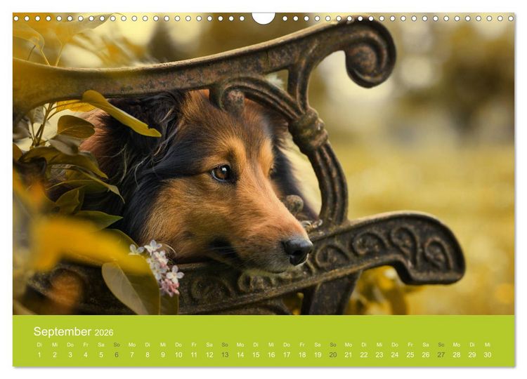 Produktbild: Traumschnauzen (Wandkalender 2026 DIN A3 quer), CALVENDO Monatskalender