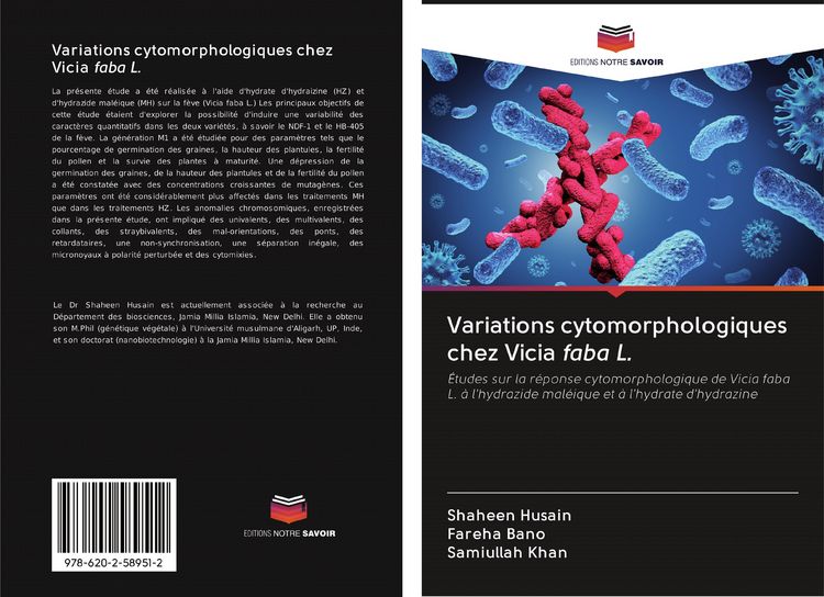 Produktbild: Variations cytomorphologiques chez Vicia faba L.