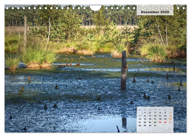 Produktbild: Niedersachsens Moorlandschaften - Das Pietzmoor, Schneverdingen (Wandkalender 2026 DIN A4 quer), CALVENDO Monatskalender